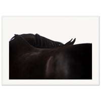 e8ce80fc-dffc-4fdd-8aaf-673d15c2becf