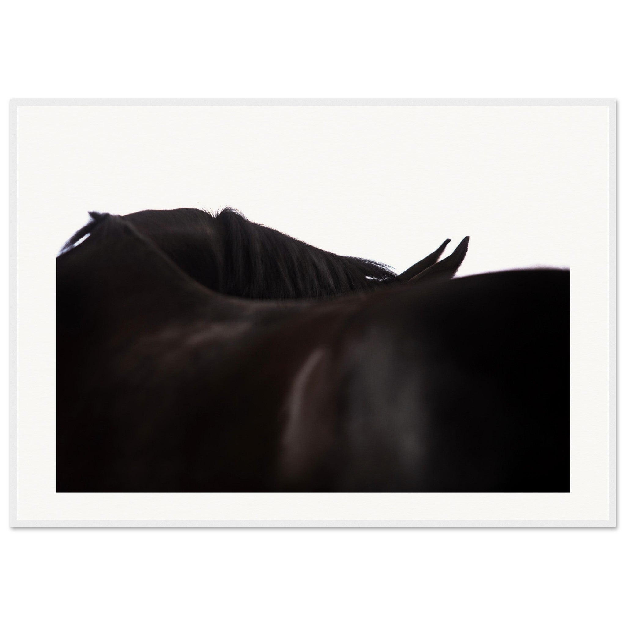 e8ce80fc-dffc-4fdd-8aaf-673d15c2becf