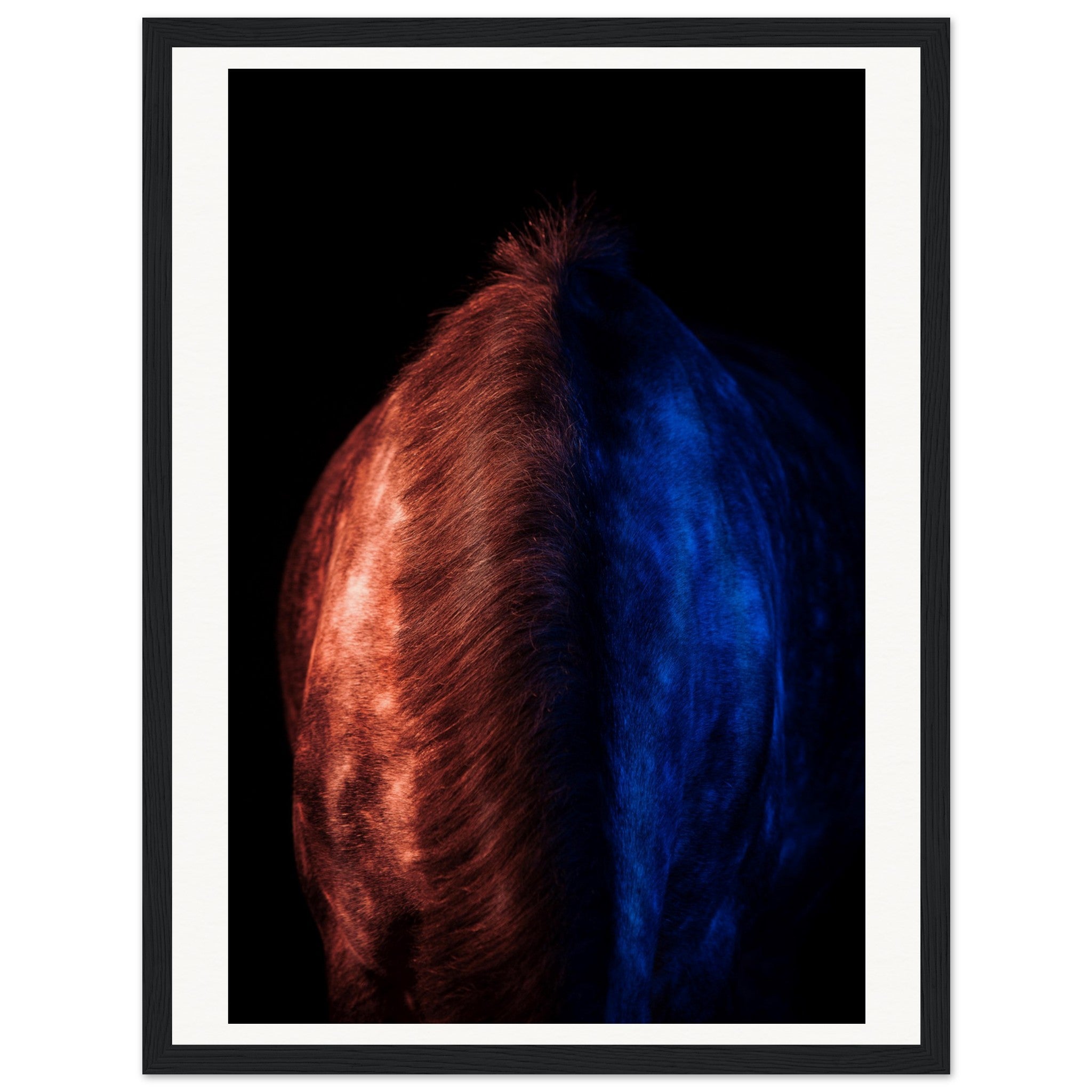 e8e09be5-1e7e-42b6-8b93-202a0154645a