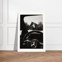 e8f99a04-5f91-4f24-81ca-bb5922ede336