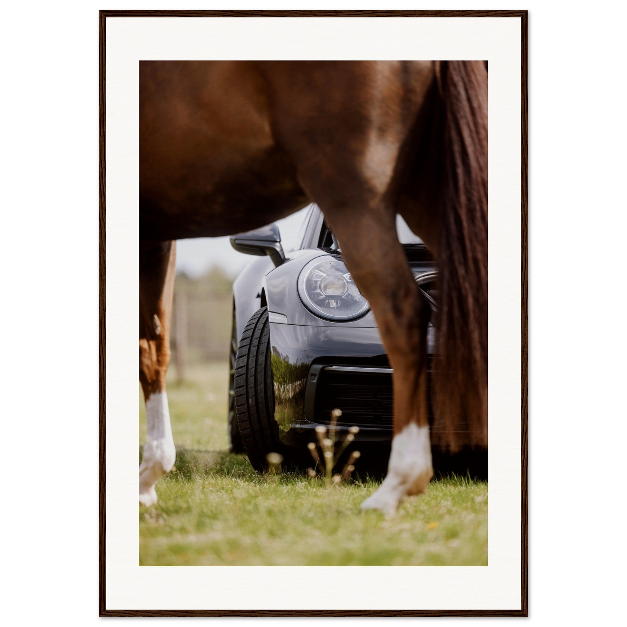 e9201ec4-cd41-43c1-a990-43f8337d9717