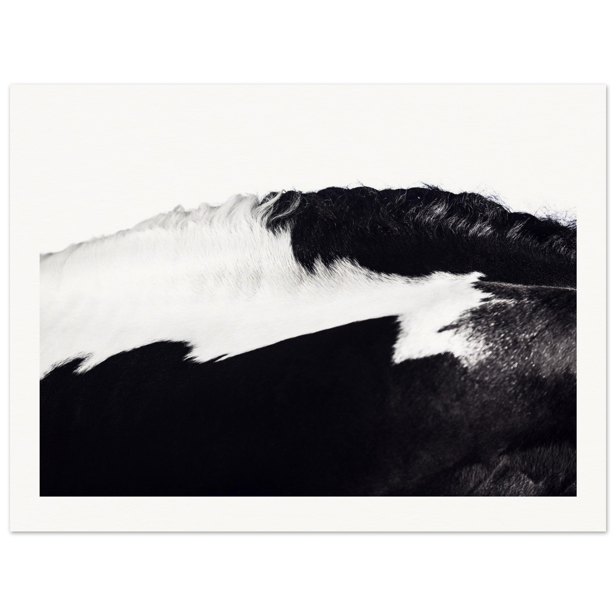 e9241edf-1487-4e3a-9c41-c310ce1430b9