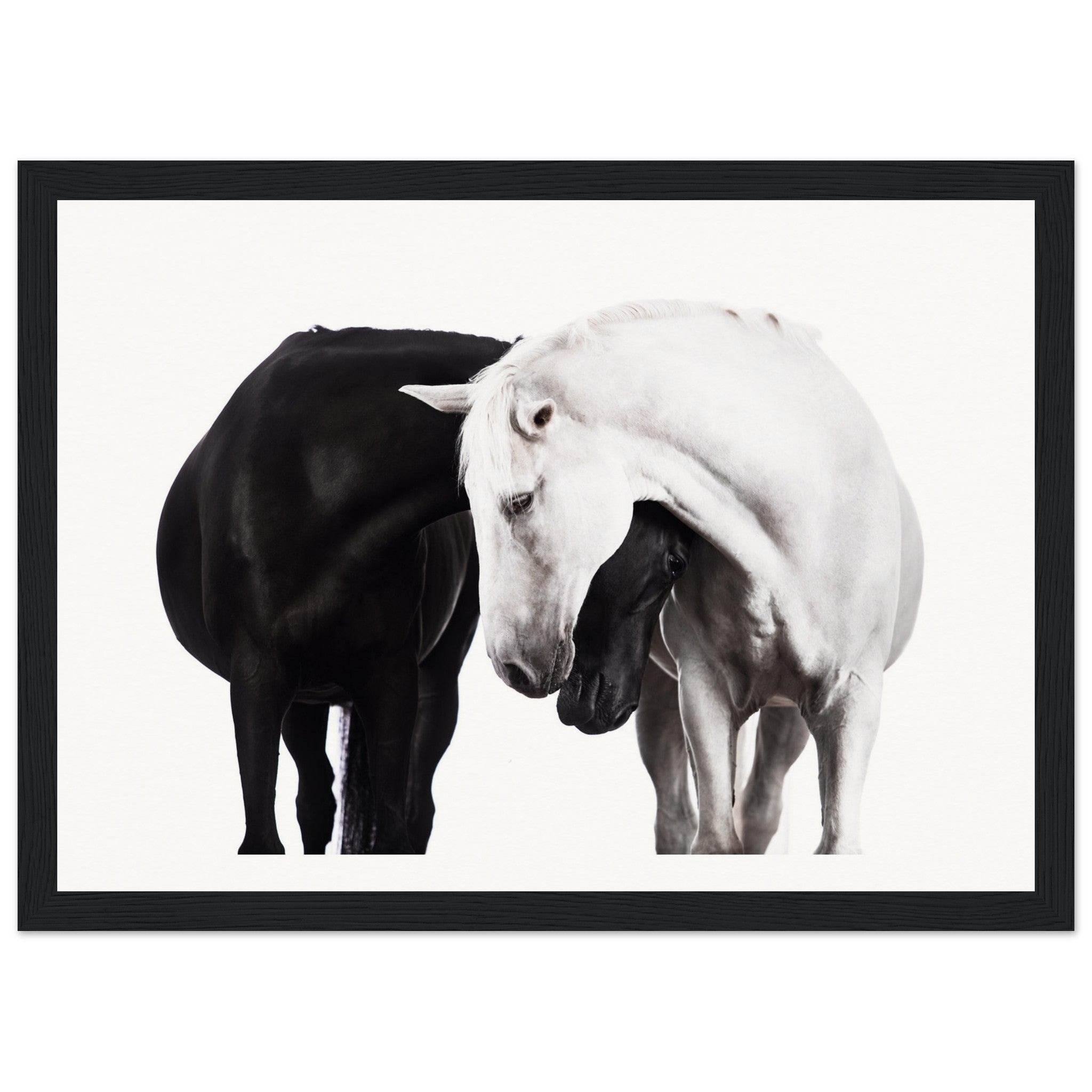 e93f4347-b827-4aa3-9a86-bcbd1ae73799