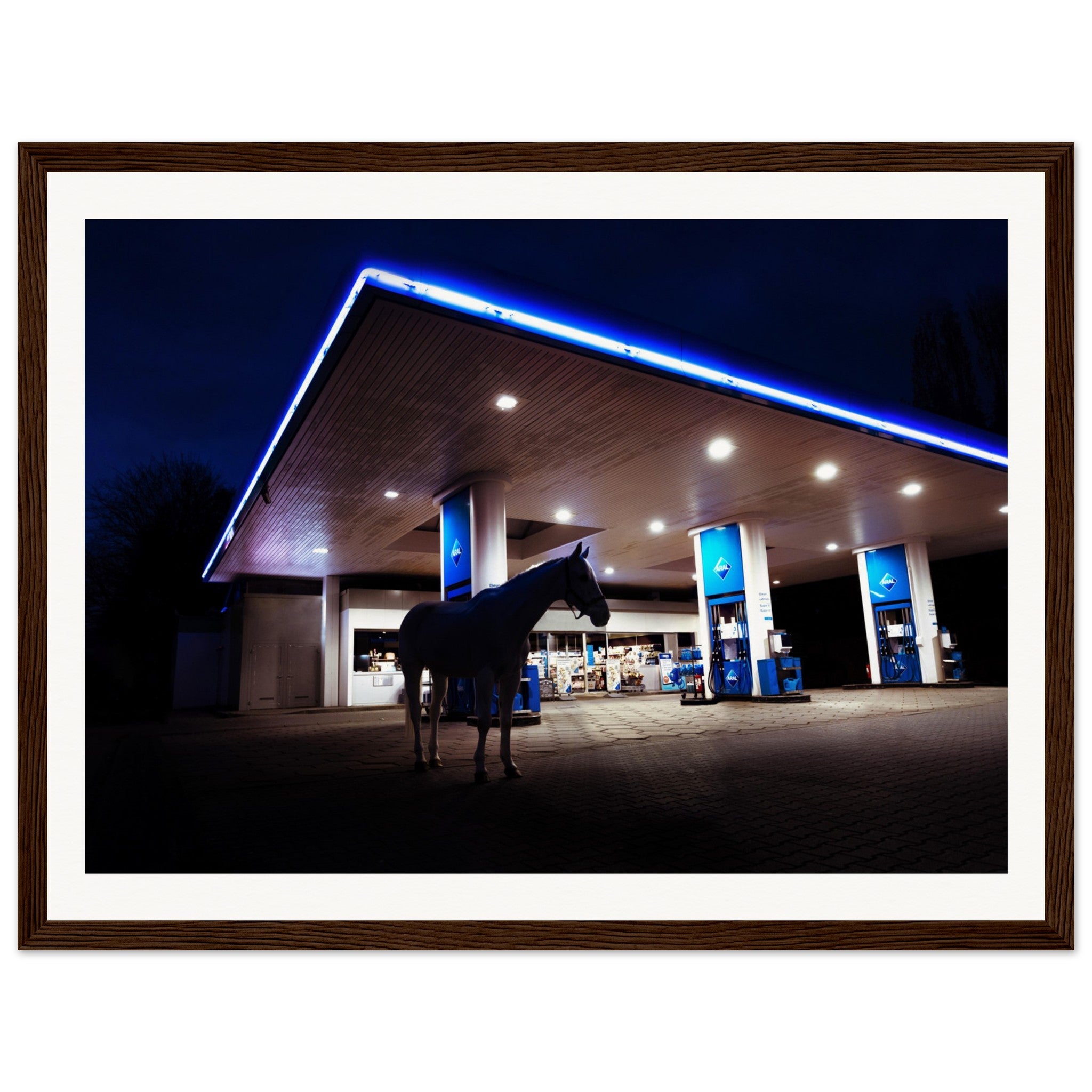 e955cbdf-20ca-4e18-b95b-235e20c4e8f2