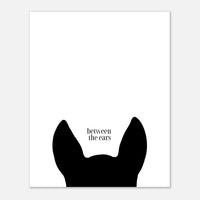 e95ce2d8-3dfb-4667-b801-68419a2752ad