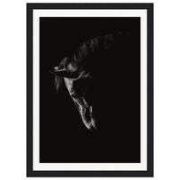 e964c2fc-fbb4-4b71-b5a1-11da8cc4b898