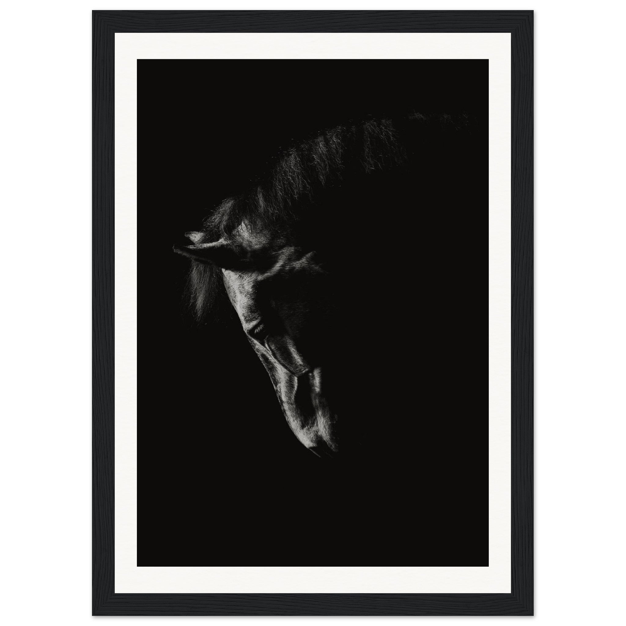 e964c2fc-fbb4-4b71-b5a1-11da8cc4b898