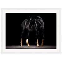 e96a5490-3a9f-4e78-812b-3a7c44294ab1