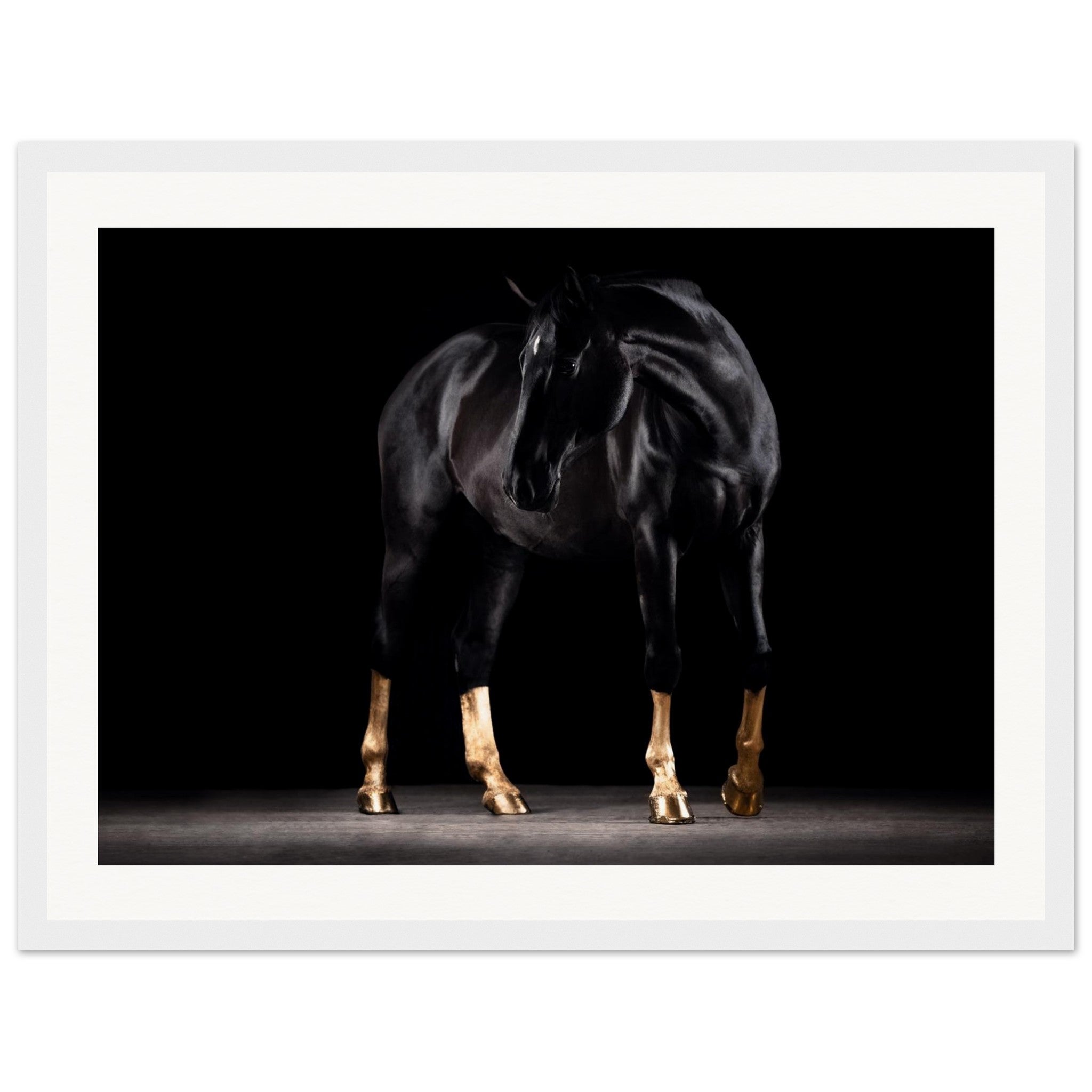 e96a5490-3a9f-4e78-812b-3a7c44294ab1