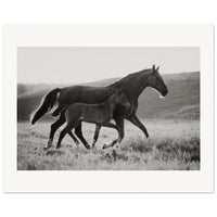 e97fc3ea-65d9-44ff-bc60-9696208bbd25