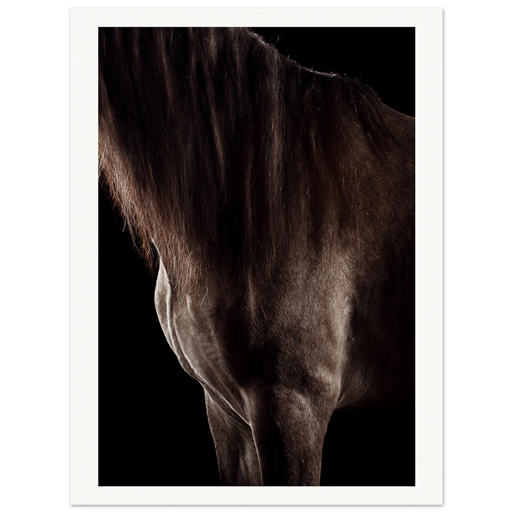 e9945666-ba3a-481d-9917-19f2c4ff57f8