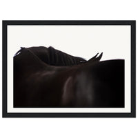 e99e2e78-7a72-46d6-aaa6-368f8b4950ff