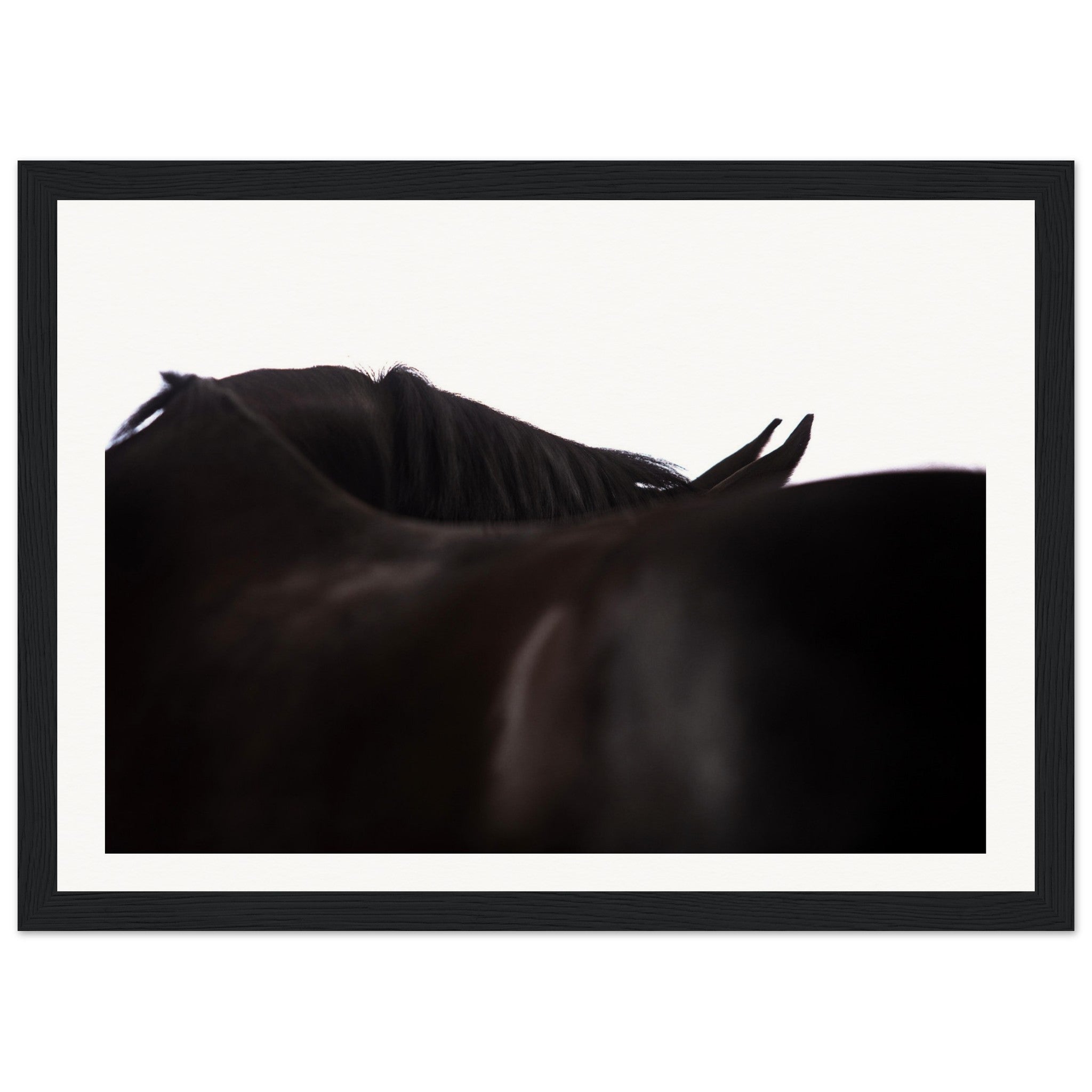 e99e2e78-7a72-46d6-aaa6-368f8b4950ff