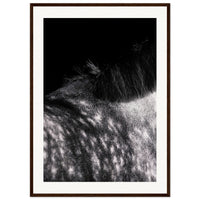 ea05bbbd-e325-49e6-8607-b3875addf4b5