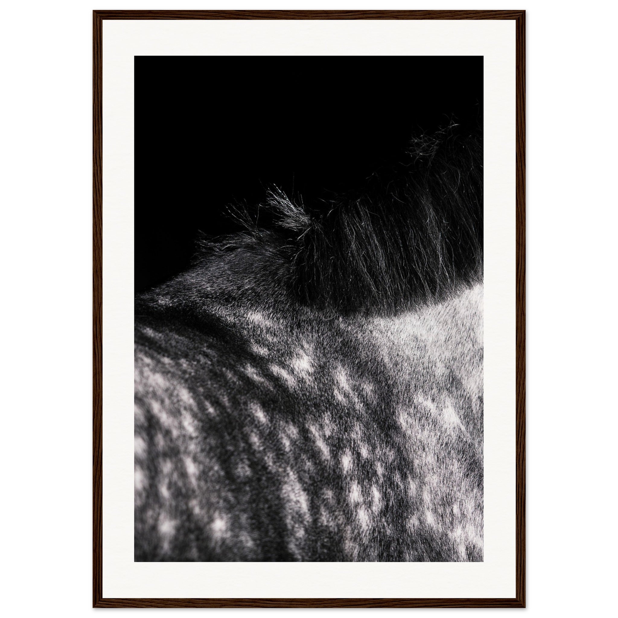 ea05bbbd-e325-49e6-8607-b3875addf4b5