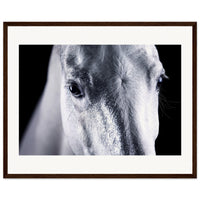 ea348a10-cc63-4b18-9632-1ce90ee740ec