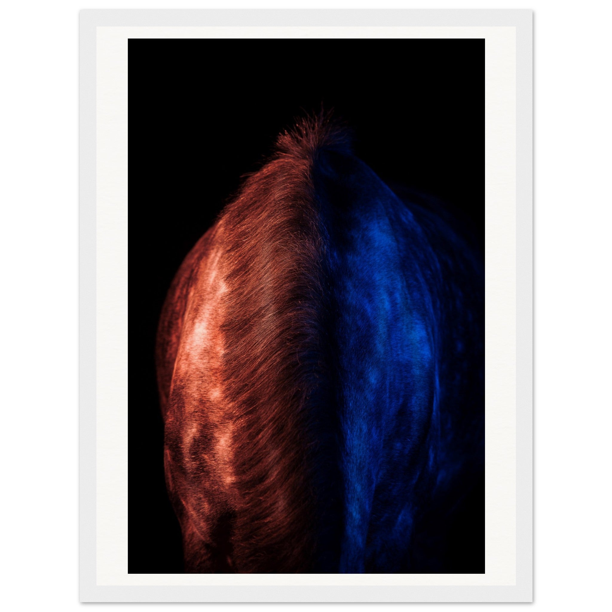 ea665948-2898-42a0-b9de-130eccf8e7af