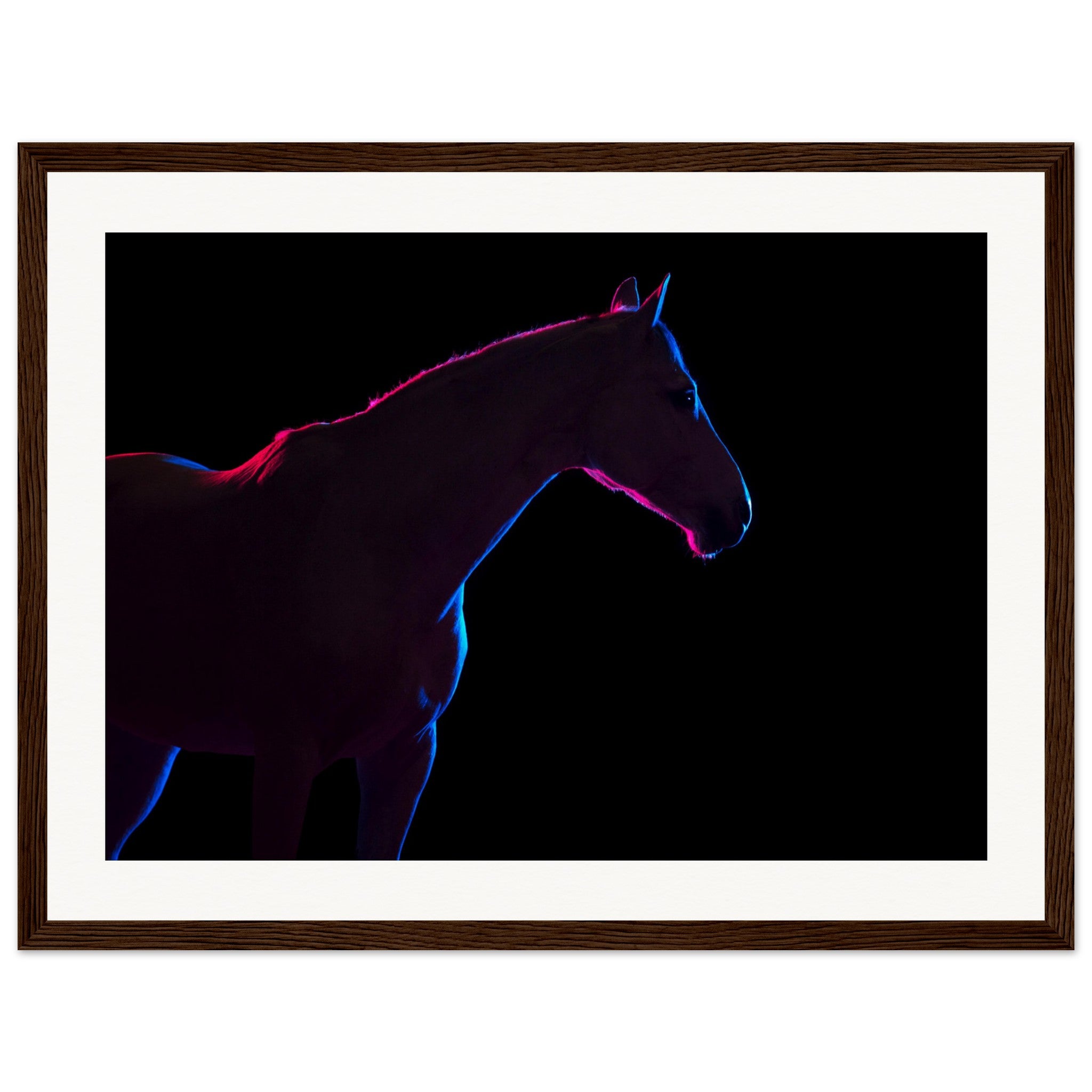 eb21e5d7-afb2-4010-828a-8d4abbeb750c