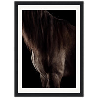 eb3d04f7-fd2e-4353-a82f-8cfdfa02c474