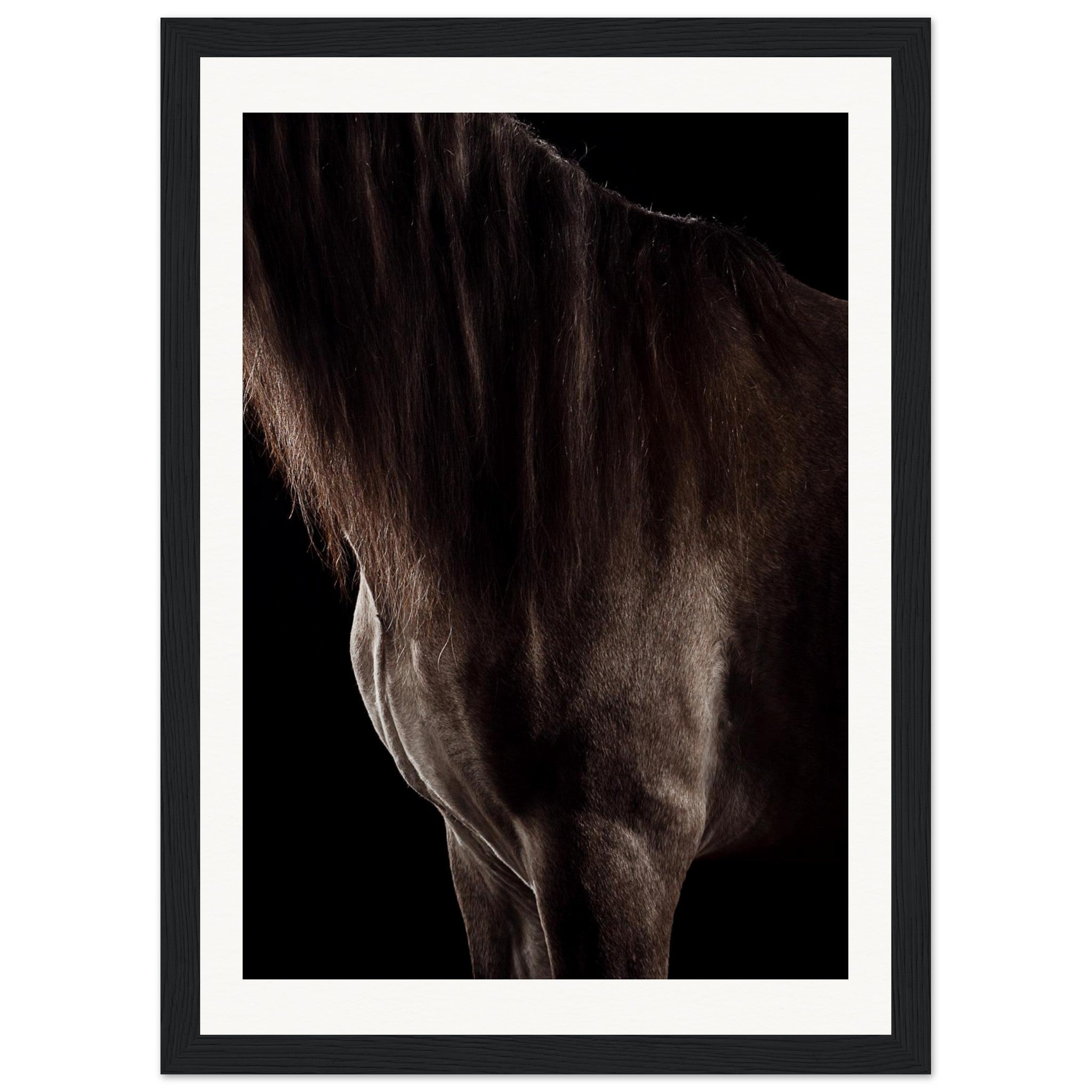 eb3d04f7-fd2e-4353-a82f-8cfdfa02c474