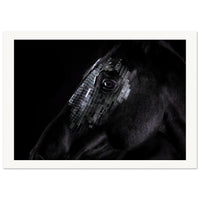 eb44db4c-ea92-4014-9bb1-61002d3ed741