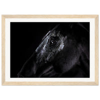 eb928b87-ddd4-458c-b6ca-70063be0deb7