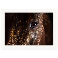 eba5b15d-d28e-4248-89b3-f38d2b2bb11e