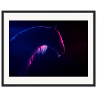 ebb95012-177a-478a-b7da-c89327e1e1bb