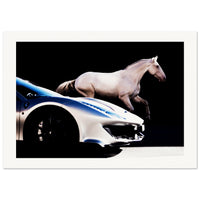 ec0af5fa-b75e-4a32-ad0e-861051eee478