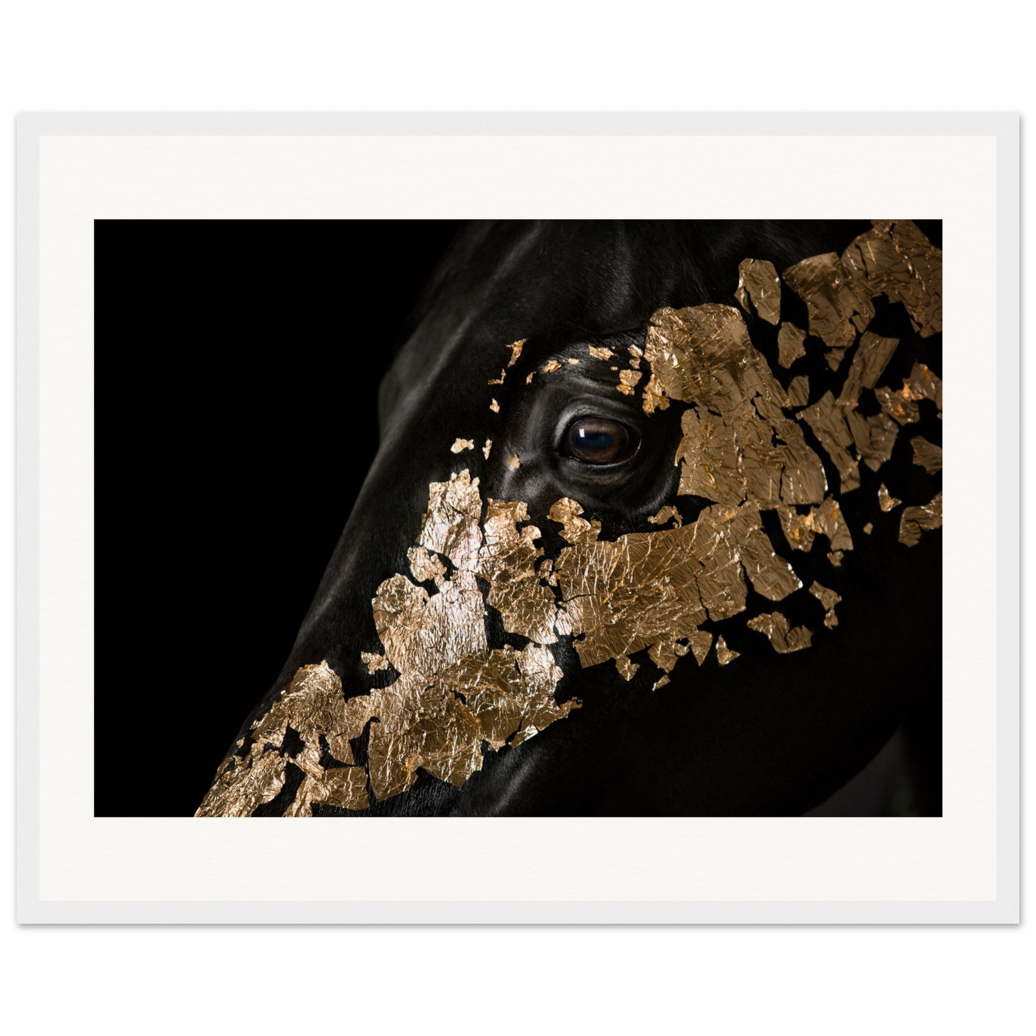 ec109bb3-1b9a-428c-a0f5-ea245a4ced9b