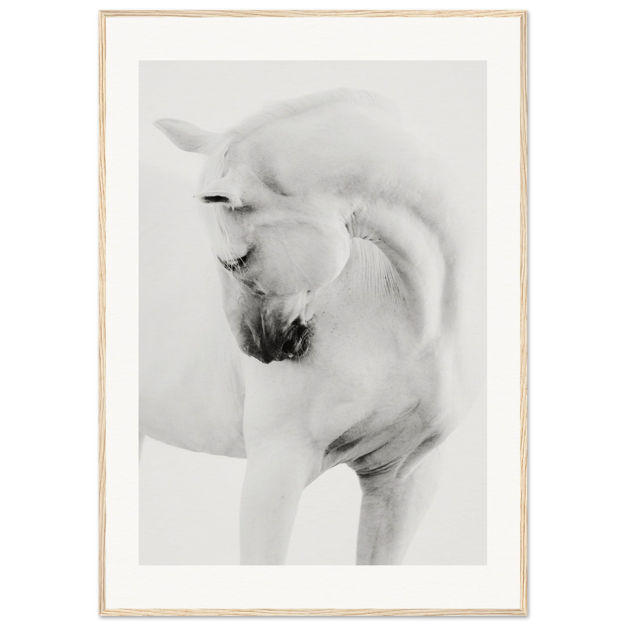 ec19fd36-e862-49d1-9adb-8a3fc7ae601f