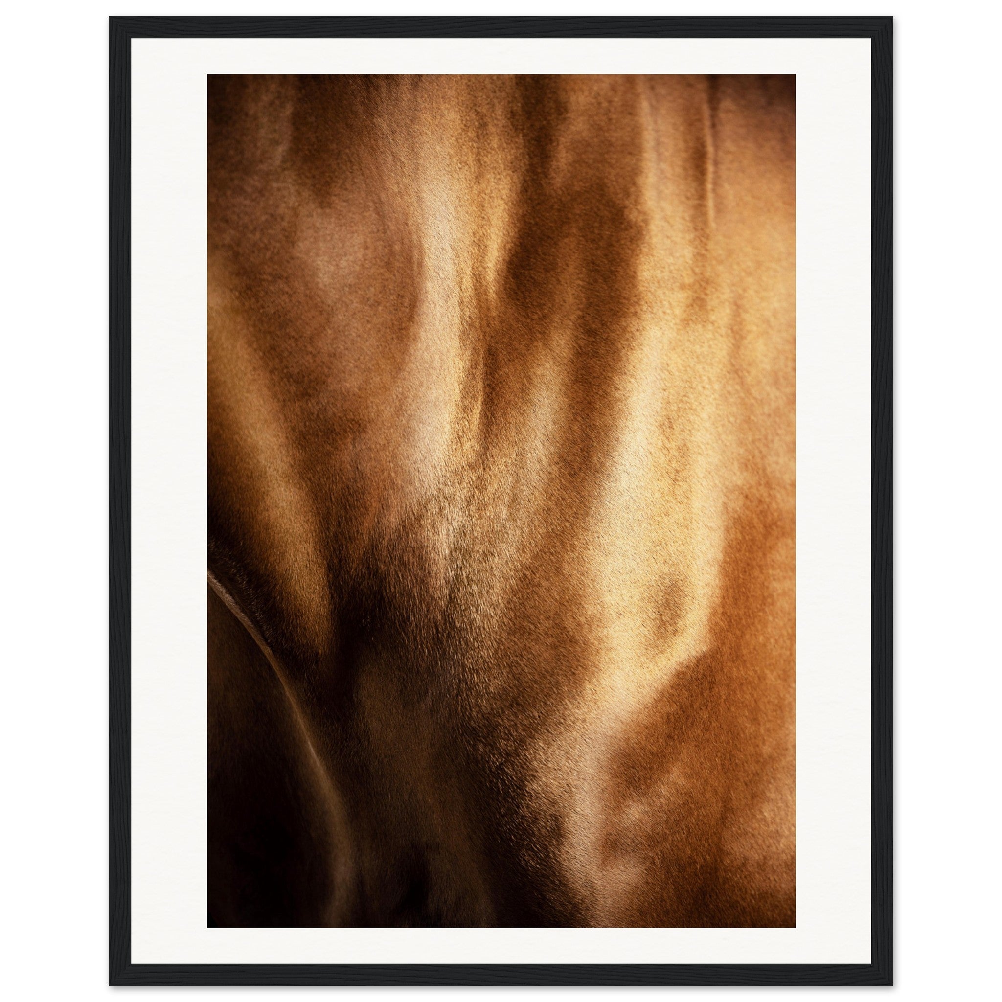 ec63da15-8f81-4260-be05-3eff0a74baa8