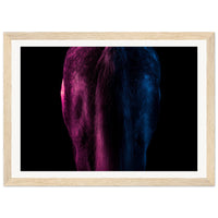 ec8d9203-bddf-40e7-8a16-a9ff0420695d