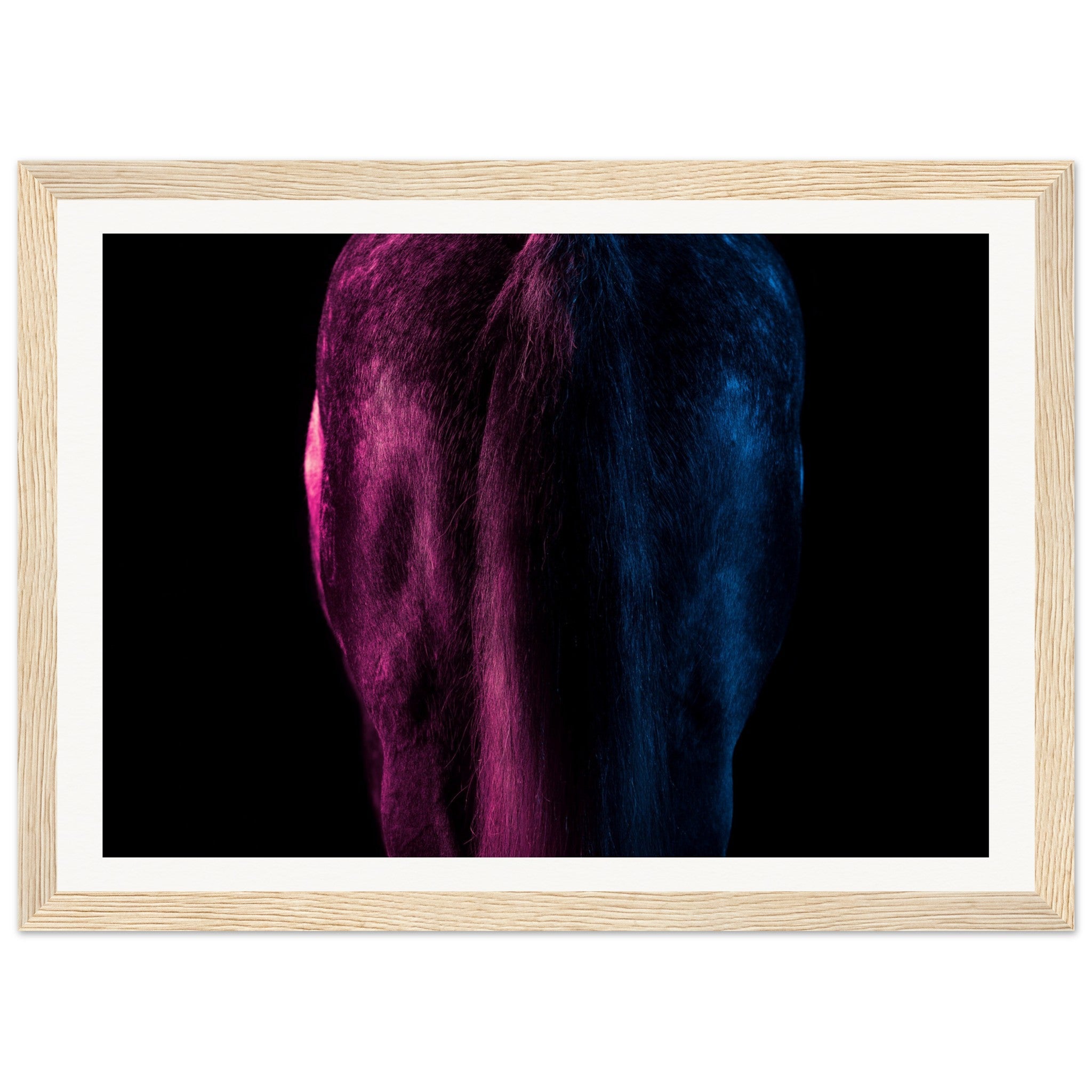 ec8d9203-bddf-40e7-8a16-a9ff0420695d