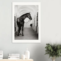 ec97c623-8719-4a75-bfcc-2362cf606b99