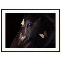 ecfd9b5a-e43c-4064-8a16-4f0bee392533