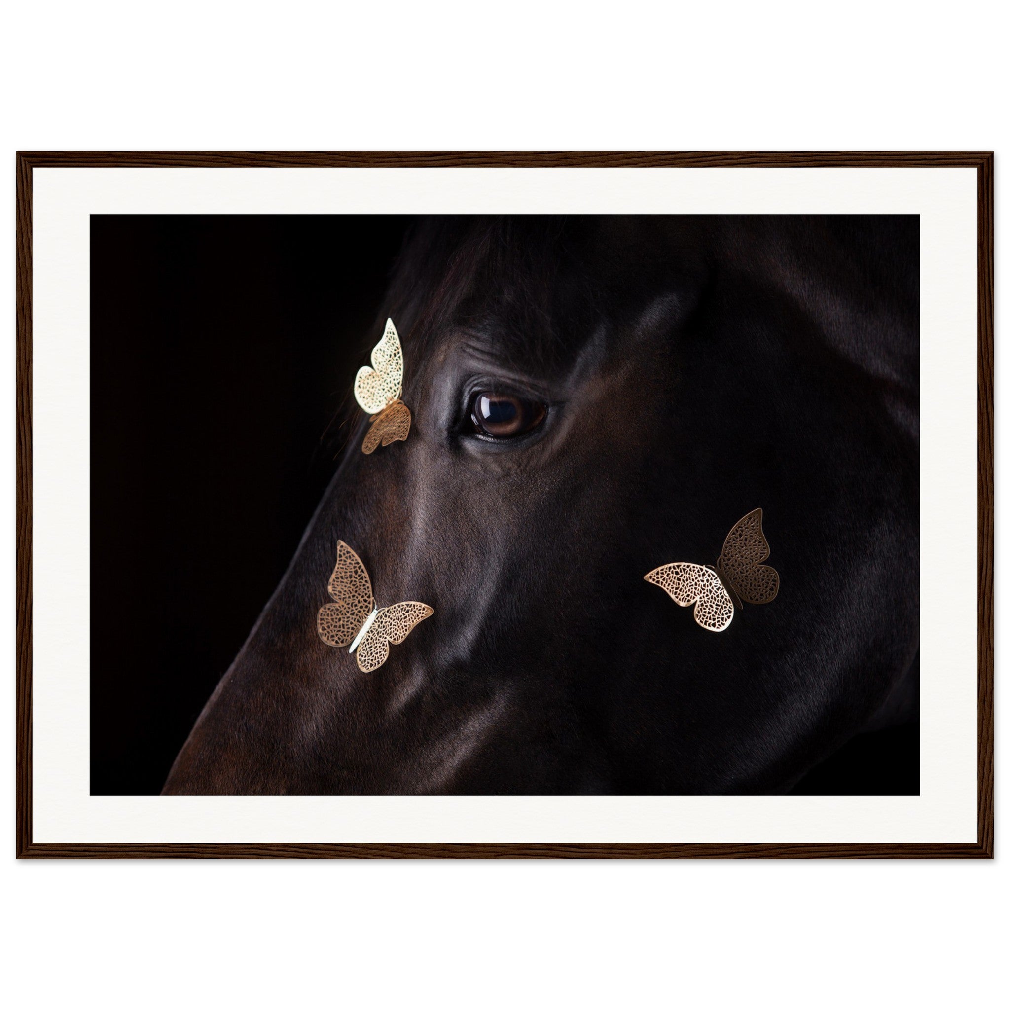 ecfd9b5a-e43c-4064-8a16-4f0bee392533