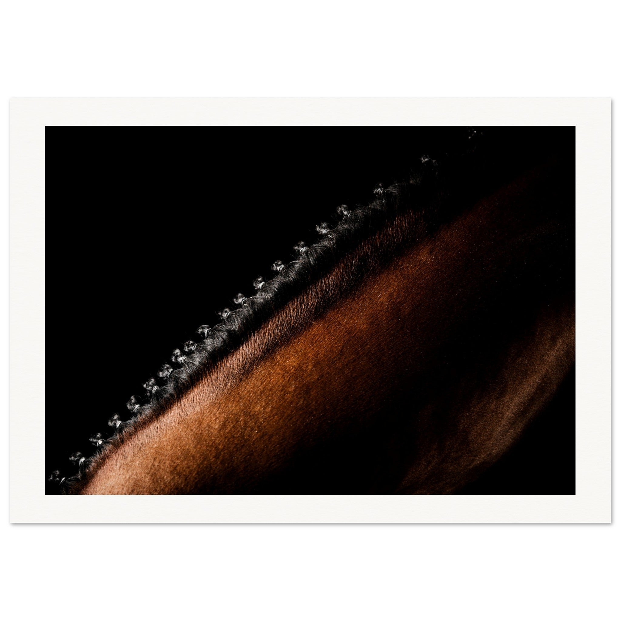 ed55bf76-514f-4a5b-8840-55c59e7a90c8