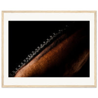 ede38cb3-b55d-4f42-8a39-c958a7a7dab7