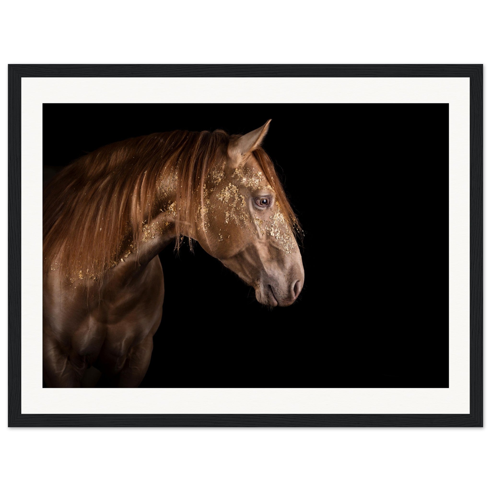 ee4a3e87-3f72-4a77-831c-3e3d1af82554