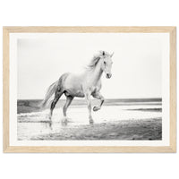 ee542c53-68dd-492b-b646-707eacb31890