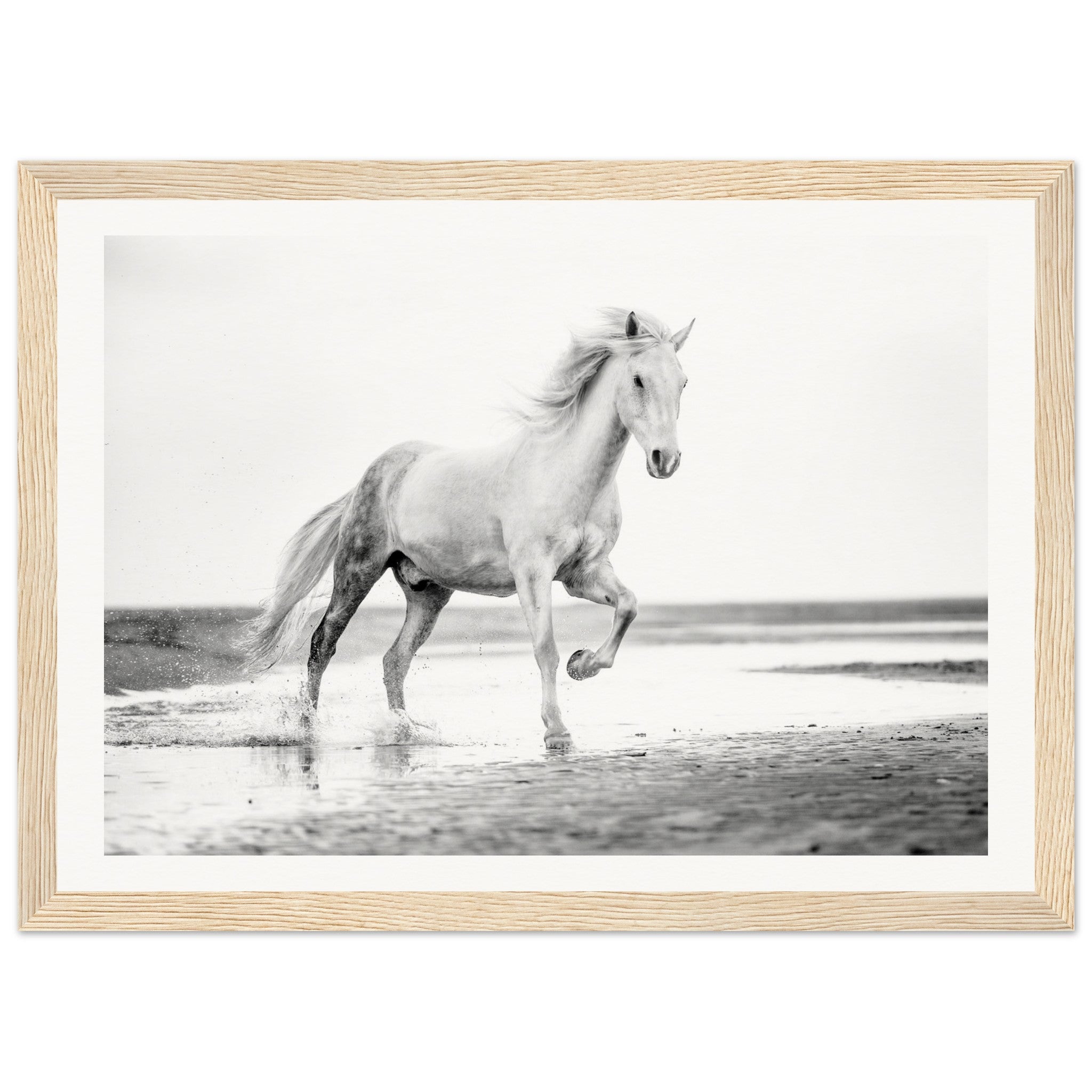 ee542c53-68dd-492b-b646-707eacb31890