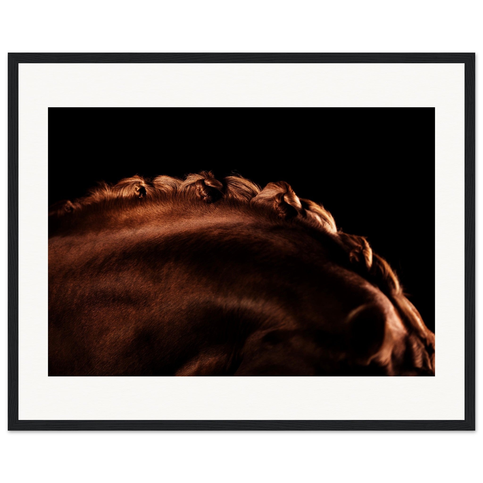 ee5ba209-6350-4431-b8f4-8a473a042cb0