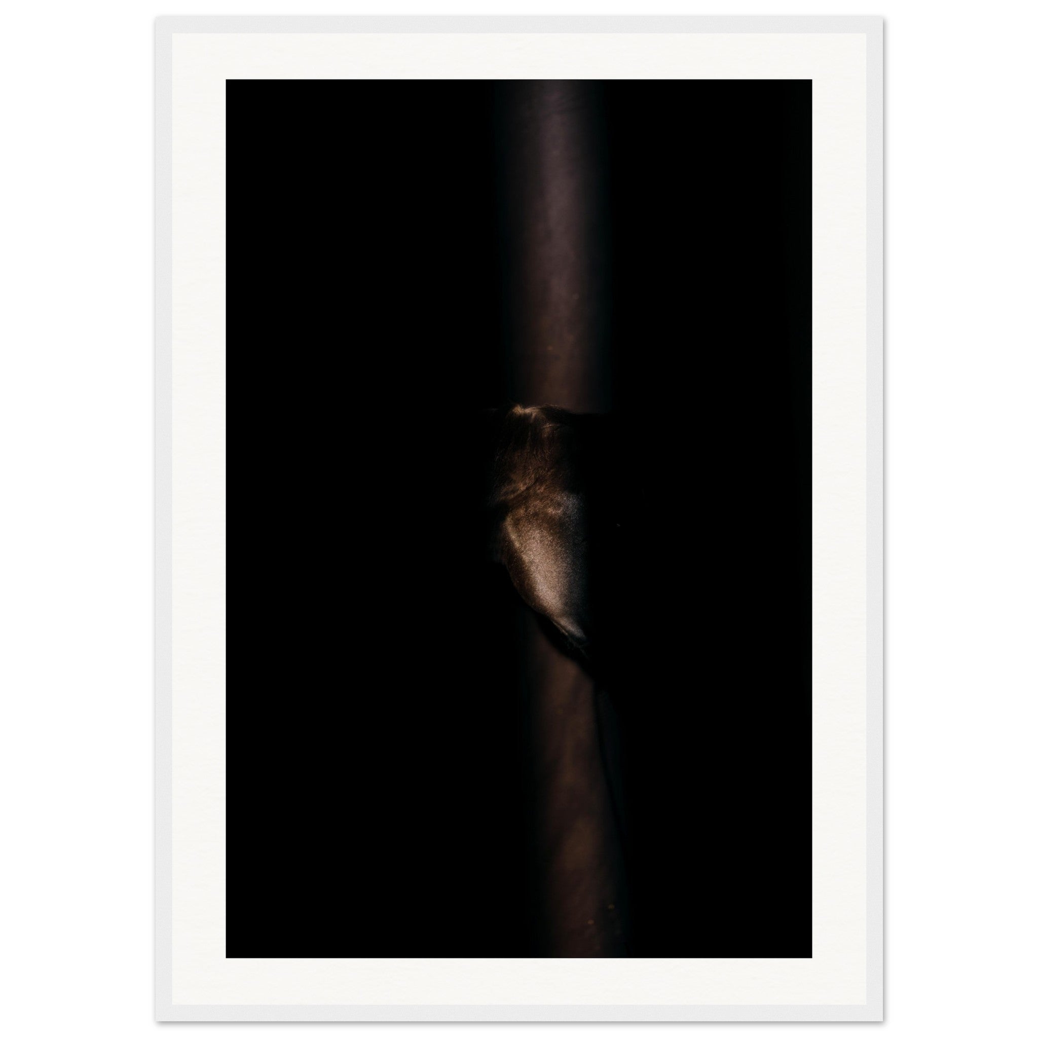 ee63fa14-25fb-4820-a09b-82f60bc7603d