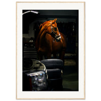 ee787323-3d51-44be-a784-ec9941809481