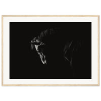 ee8cac41-f98c-4960-b40f-cb69bfc71164