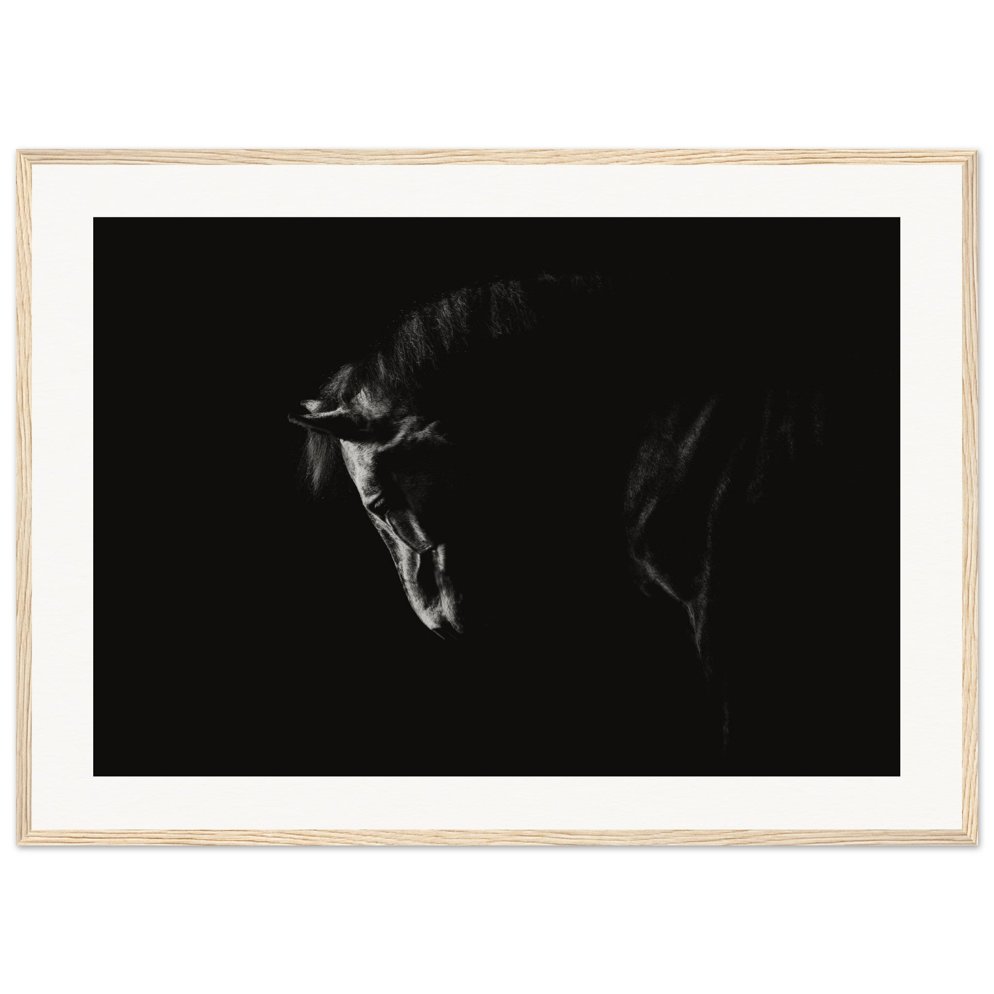 ee8cac41-f98c-4960-b40f-cb69bfc71164