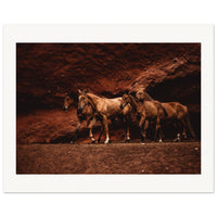 ee8fbbe5-6ace-465f-97b8-6bcc534204e4