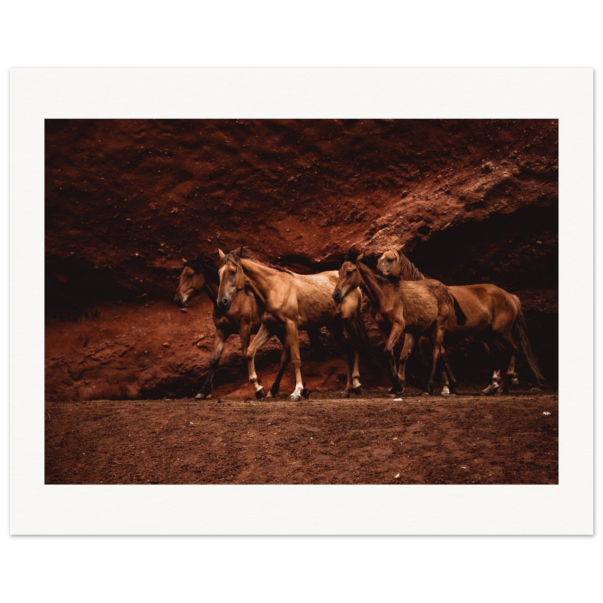 ee8fbbe5-6ace-465f-97b8-6bcc534204e4