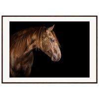 eec1aacc-b085-4335-bd56-7571a3250d61